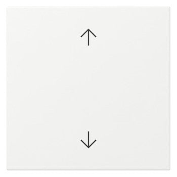 GIRA Wippe 1t Schalter rws glz Pfeile System 55 361603