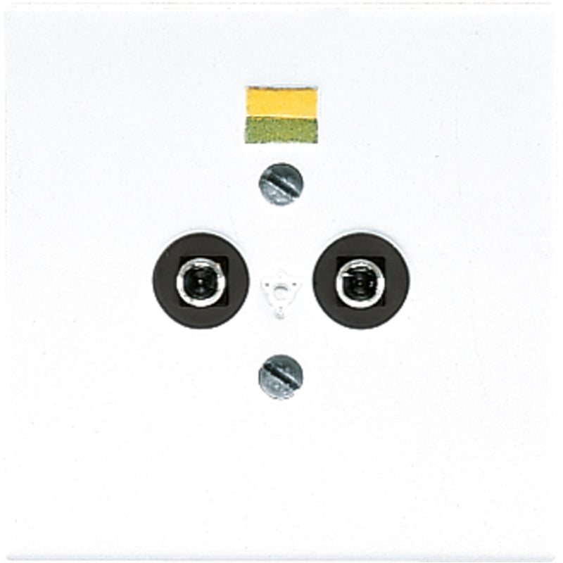 JUNG Potenzialausgleichsdose UP aws glz LS 965-2 WW Steckd 2f