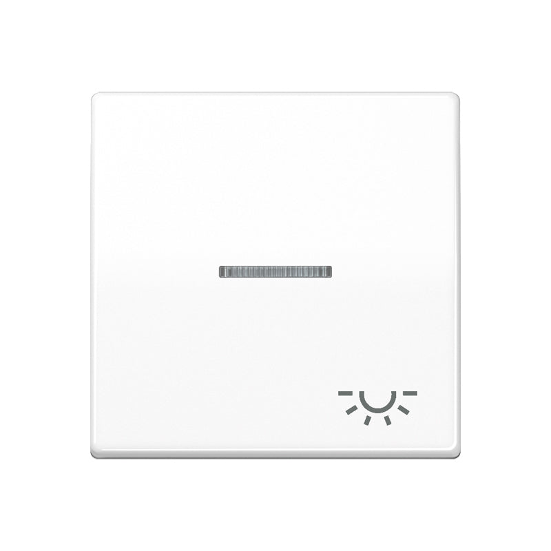 JUNG Kontrollwippe Schalter aws glz AS 591 KO5L WW Licht