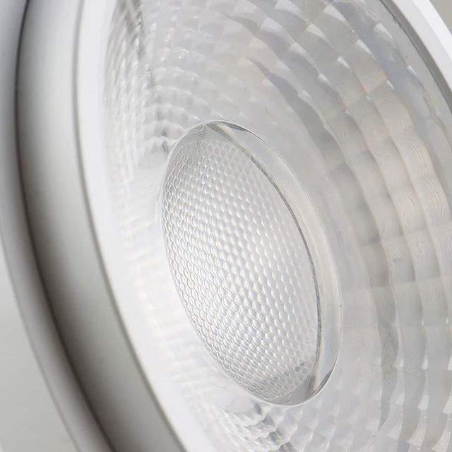 AR111 30W 35°-50° variabel neutralweiß inkl. externem VG - Beleuchtung