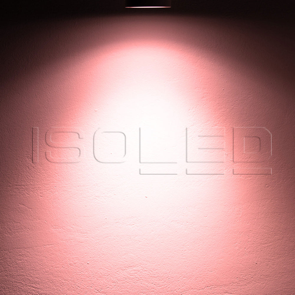 AR111 Meat Light 30W 35°-50° variabel inkl. externem VG - Beleuchtung