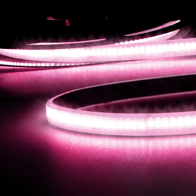 LED AQUA CRI9P Linear 48V Flexband 8W IP68 pink 30m Rolle 240 LED/m - Beleuchtung