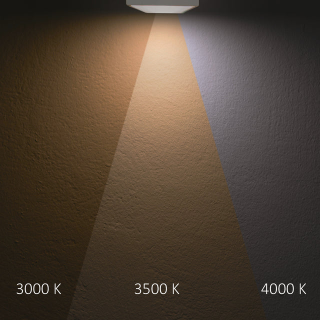 3-PH Linearleuchte prismatisch 60cm 32W schwarz 3000|3500|4000K CRI90 dimmbar - Beleuchtung