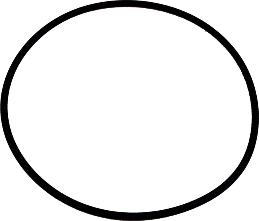 Wolf O-Ring 132 x 4 Viton für COB, 8905738