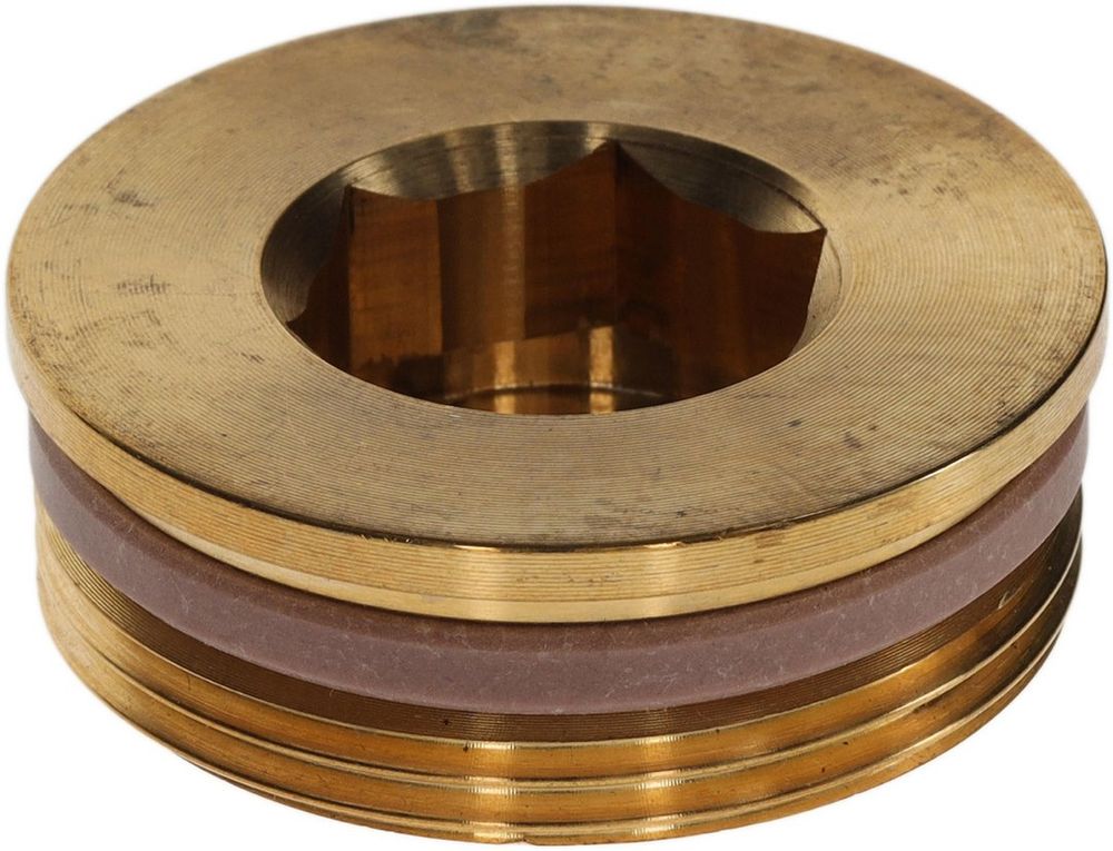 BOSCH Stopfen G1 1/2 SW22 mit PTFE-Ring EVERP, 8735101094