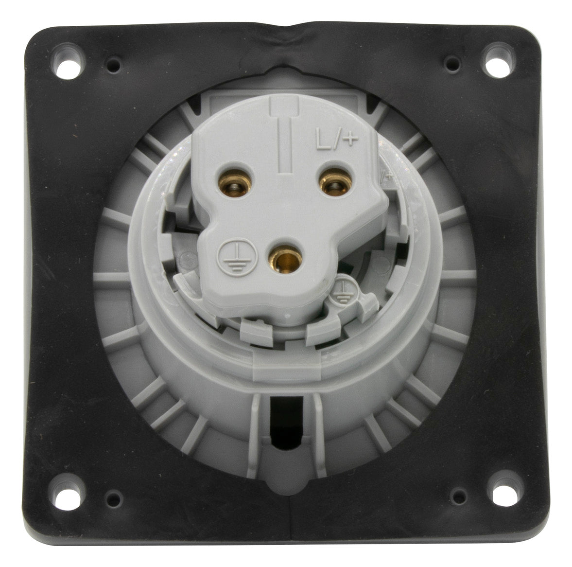 LEGRAND CEE-Steckdose 2p 16A 6h 230V/bl Legrand 555184 IP44 UP Schraubkl Kst
