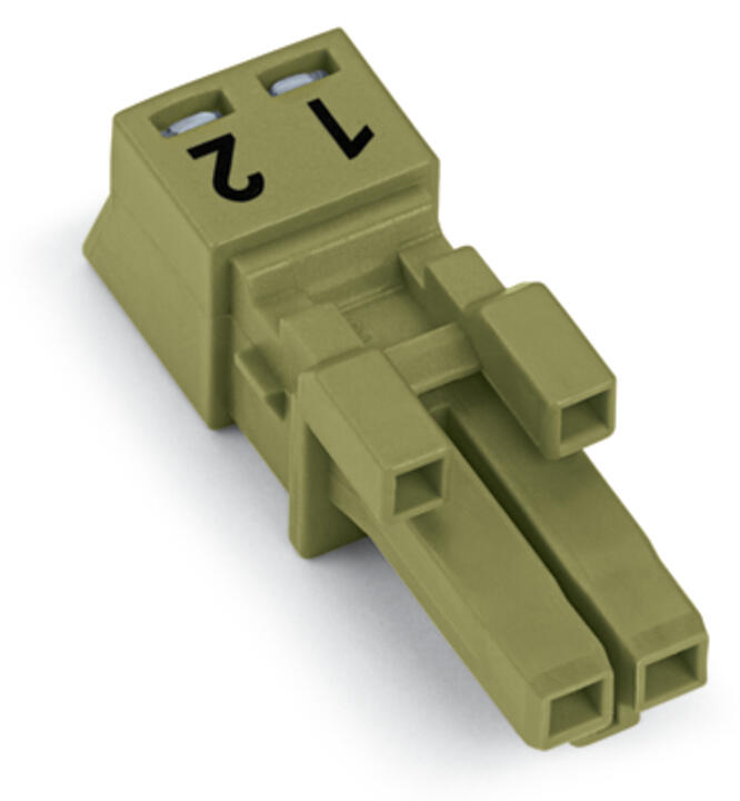 WAGO Steckverbinder Gebäude Buchse 2p Serie 890 890-262 Federzug 250V 16A