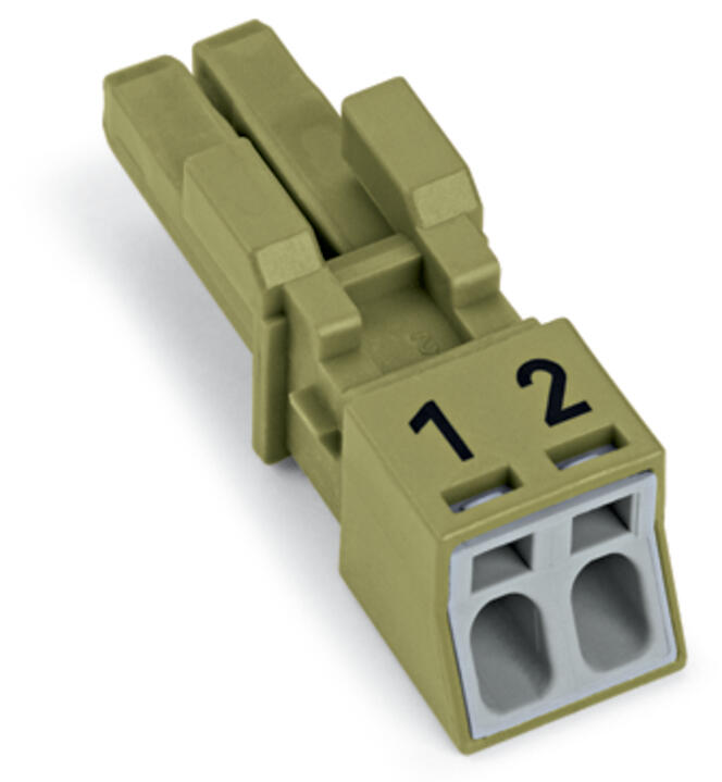WAGO Steckverbinder Gebäude Buchse 2p Serie 890 890-262 Federzug 250V 16A
