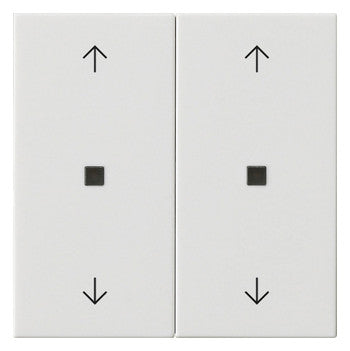 GIRA Wippe_2t Jalousie rws glz System 55 538603 Pfeile
