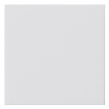 GIRA Zentralplatte Blindabd 1f rws System 55 810803 Klemmbef