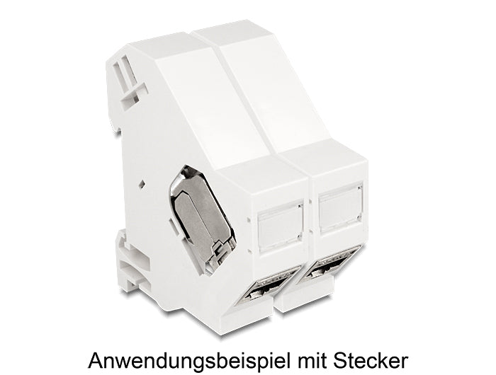 Delock Keystone Halterung für Hutschienen mit Erdung