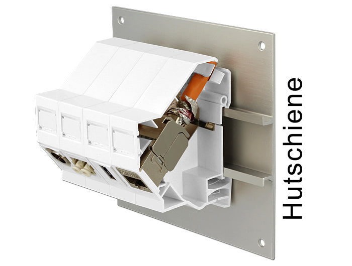 Delock Keystone Halterung für Hutschienen