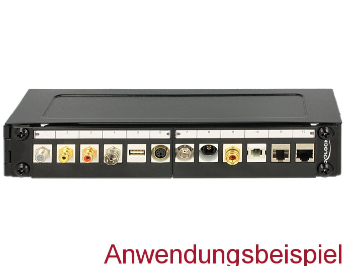 Delock 10″ Wandhalterung 1 HE