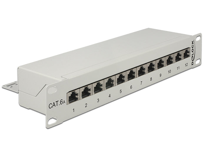 Delock 10″ Patchpanel 12 Port Cat.6A grau