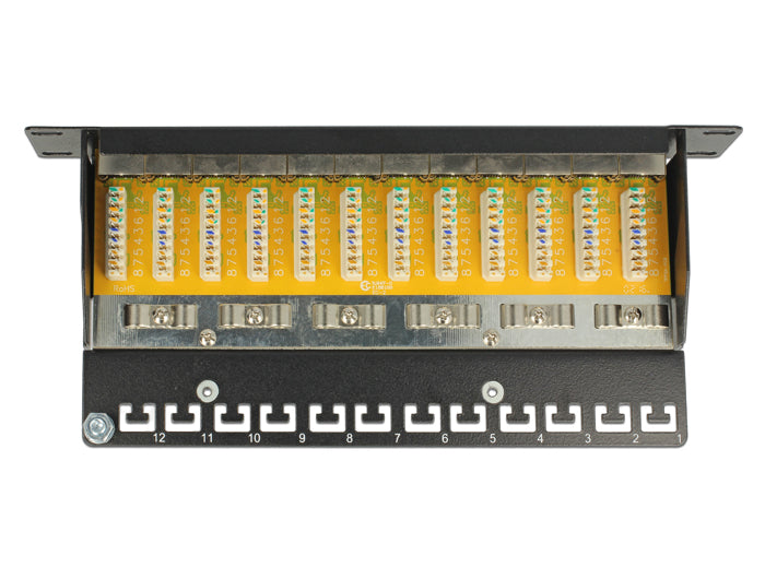 Delock 10″ Patchpanel 12 Port Cat.6 grau