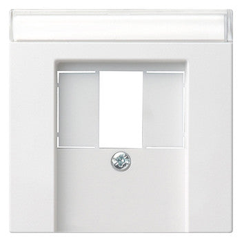 GIRA Zentralplatte USB/TAE 1f rws System 55 087603 Schraubbef