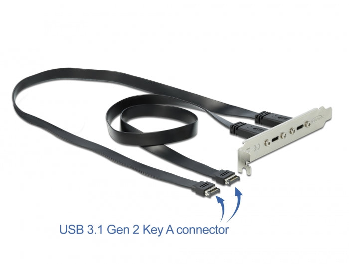 Delock USB 10 Gbps Slotblech mit 2 x USB Type-C™ Port