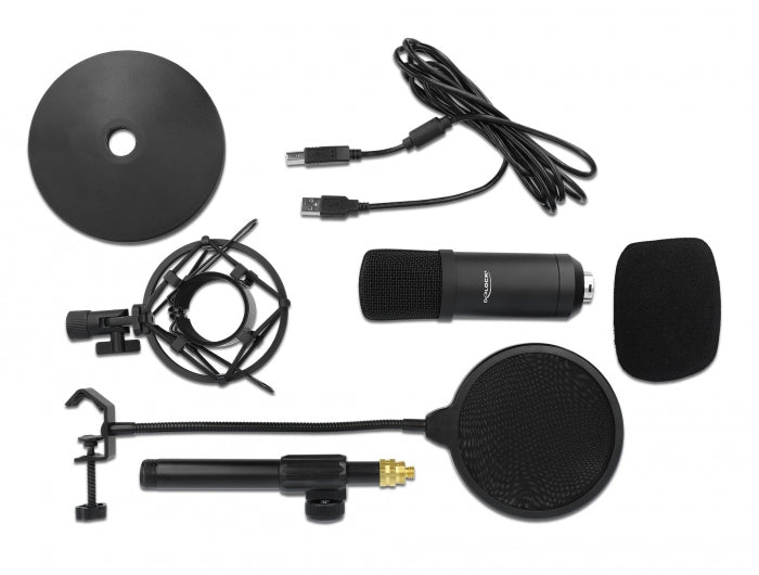 Delock Professionelles USB Kondensator Mikrofon Set für Podcasting und Gaming