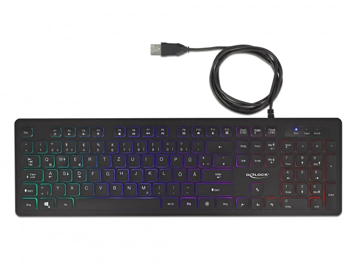 Delock USB Tastatur kabelgebunden 1,5 m schwarz mit RGB Beleuchtung