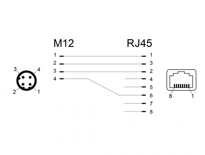 Delock Netzwerkadapter M12 D-kodiert 4 Pin Stecker zu RJ45 Buchse