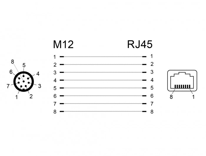 Delock Netzwerkadapter M12 A-kodiert 8 Pin Stecker zu RJ45 Buchse