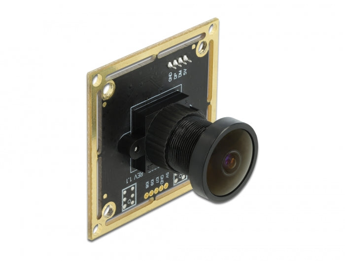 Delock USB 2.0 Kameramodul mit Wide Dynamic Range 1,92 Megapixel 120° V6 Fixfokus