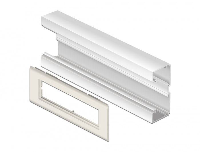 Delock Easy 45 Modulträger für Geräteeinbaukanal 175 x 80 mm
