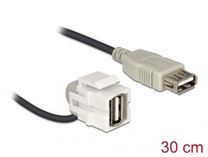 Delock Keystone Modul USB 2.0 A Buchse 110° > USB 2.0 A Buchse mit Kabel weiß