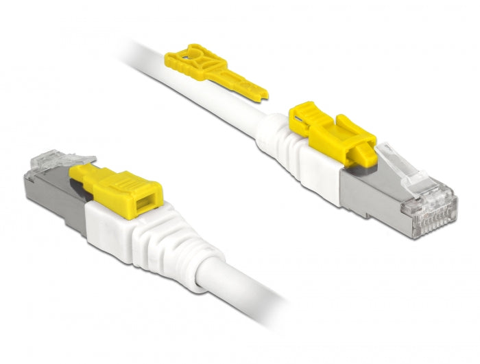 Delock Kabel RJ45 Secure Cat.6A 5 m