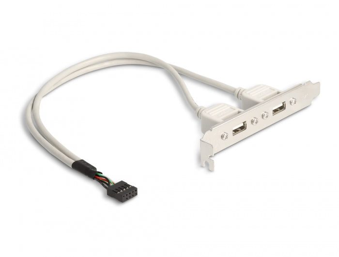 Delock Slotblech 2 x USB 2.0 Typ A Buchse extern