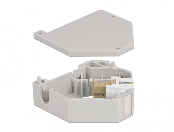 Delock Hutschienenadapter mit Keystone SC Simplex Buchse zu SC Simplex Buchse beige