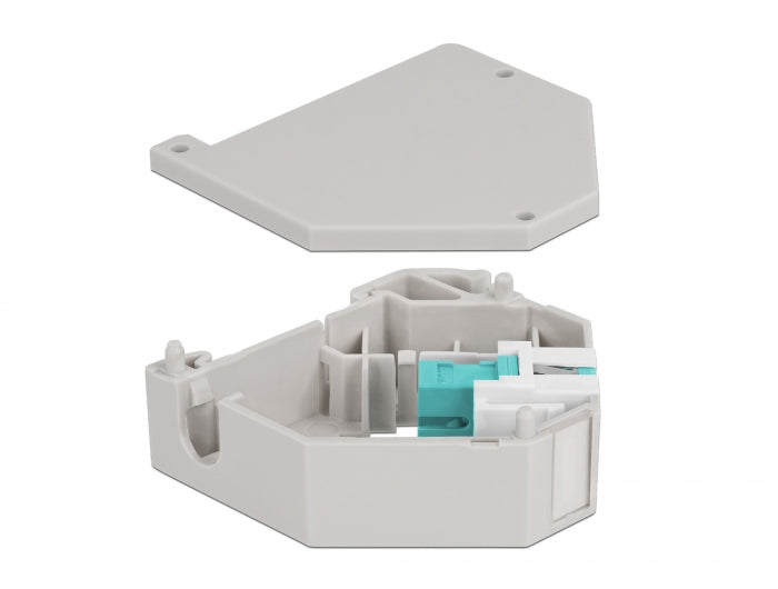 Delock Hutschienenadapter mit Keystone SC Simplex Buchse zu SC Simplex Buchse aqua