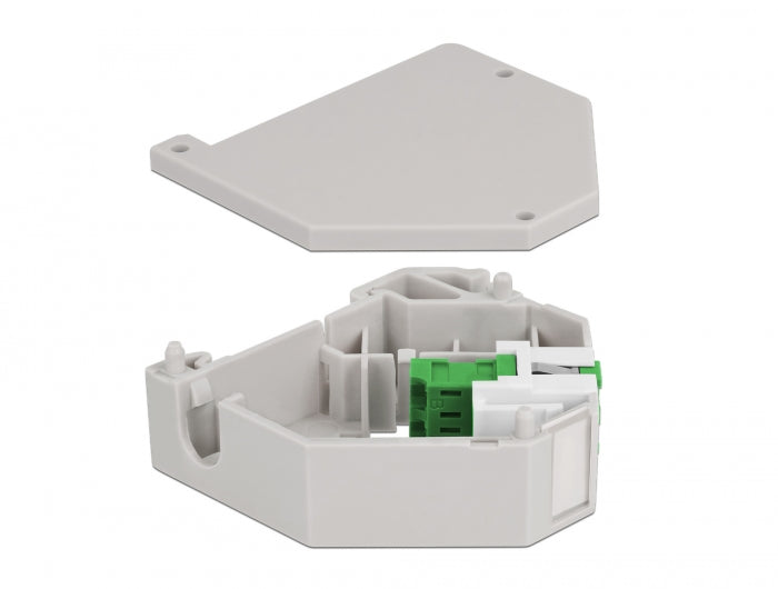 Delock Hutschienenadapter mit Keystone LC Duplex Buchse zu LC Duplex Buchse grün