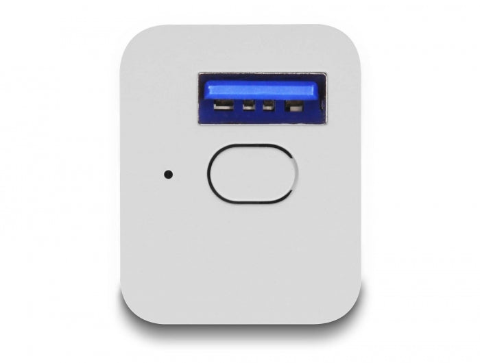 Delock WLAN EASY-USB Smart Schalter MQTT