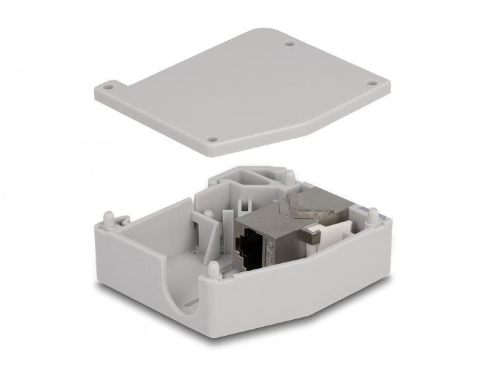 Delock Hutschienenadapter mit Keystone Modul RJ45 Buchse zu RJ45 Buchse Cat.6A