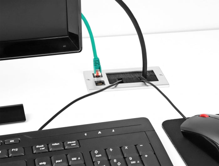 Delock Kabeldurchführung mit Bürste und 2 x RJ45 Keystone Modul Cat.6 Aluminium