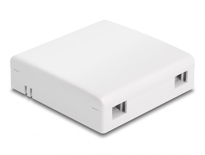 Delock LWL Anschlussdose zur Wandmontage für 2 x SC Simplex oder LC Duplex weiß