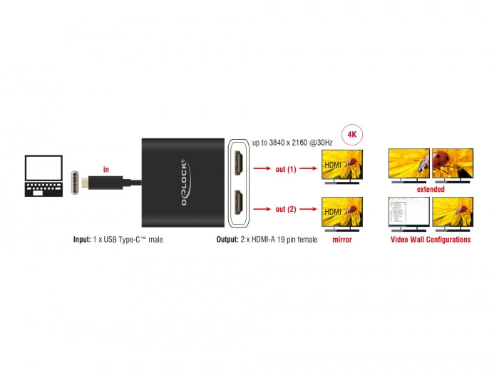 Delock USB Type-C™ Splitter (DP Alt Mode) > 2 x HDMI out 4K 30 Hz