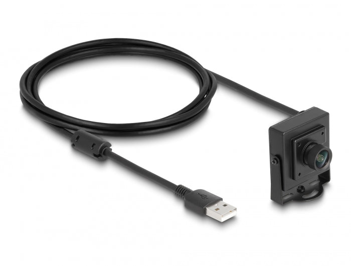 Delock USB 2.0 Kamera 2,1 Megapixel 100° Fixfokus