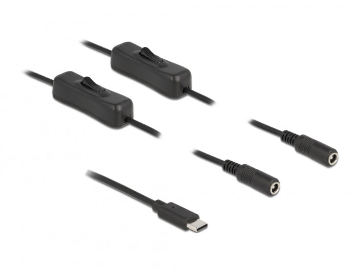 Delock Kabel USB Type-C™ Stecker zu 2 x DC 5,5 x 2,1 mm Buchse mit Schalter 1 m