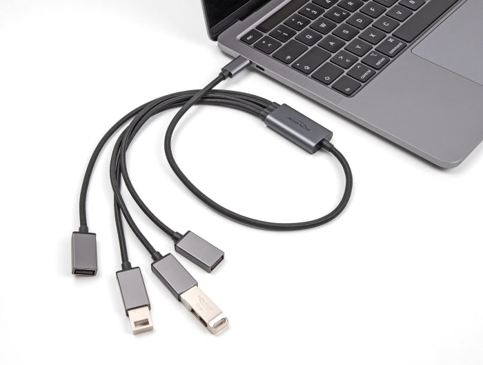 Delock 4 Port USB 2.0 Kabel-Hub mit USB Type-C™ Anschluss 60 cm