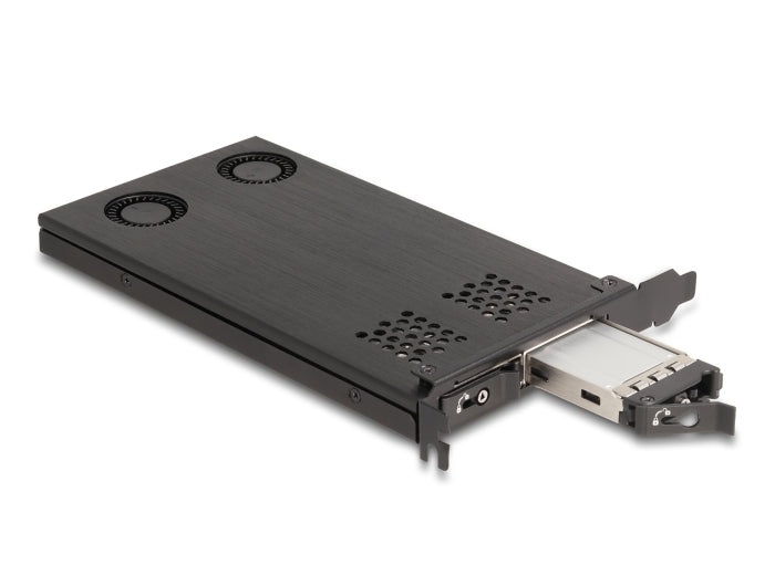 Delock PCI Express x16 Karte Wechselrahmen für 2 x M.2 NVMe SSD - Bifurcation