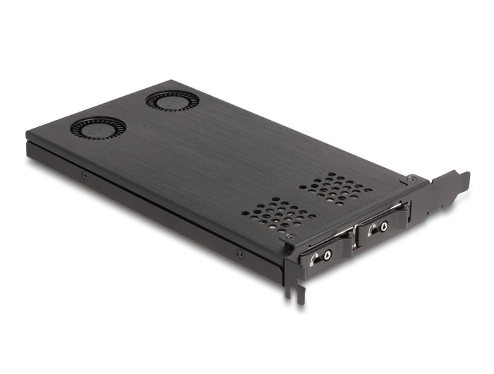 Delock PCI Express x16 Karte Wechselrahmen für 2 x M.2 NVMe SSD - Bifurcation