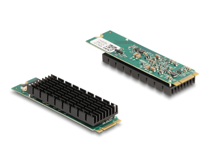 Delock M.2 Key B+M 1 x RJ45 10 Gigabit LAN Netzwerkkarte