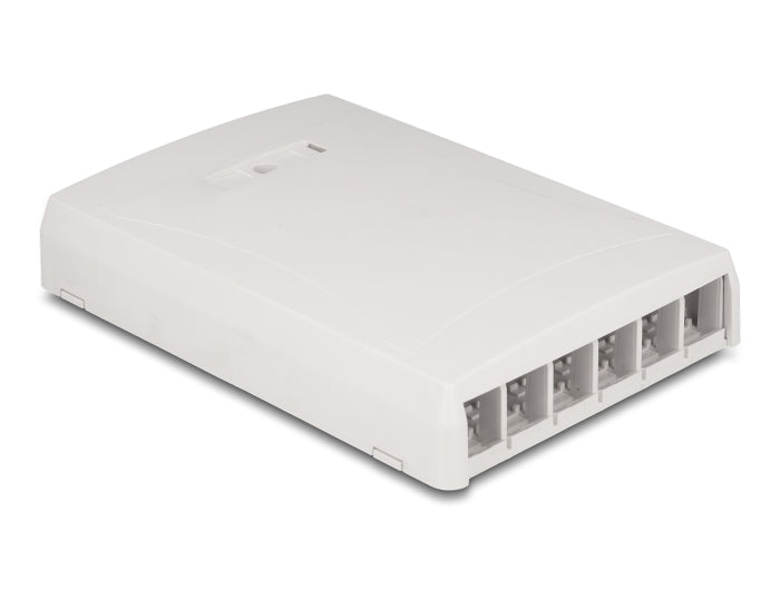 Delock Keystone Leergehäuse Aufputz 6 Port für Glasfaser und Netzwerk weiß