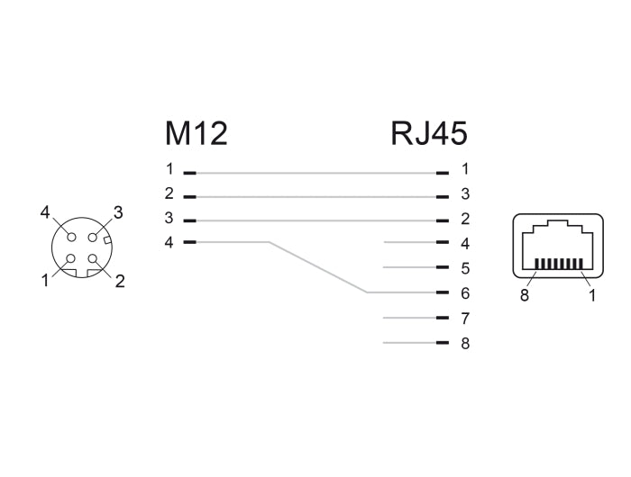 Delock Netzwerkadapter M12 D-kodiert 4 Pin Buchse zu RJ45 Buchse