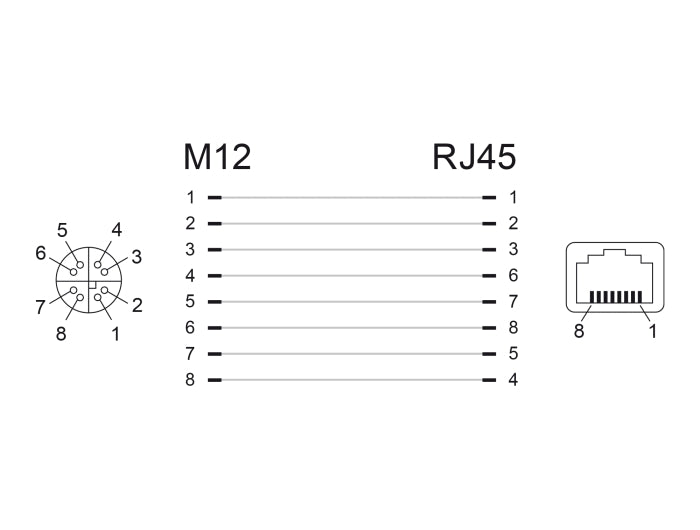 Delock Netzwerkadapter M12 X-kodiert 8 Pin Buchse zu RJ45 Buchse