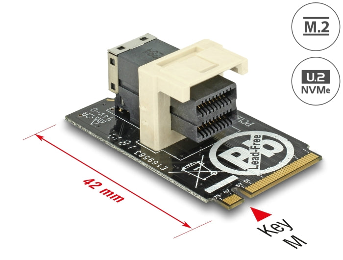 Delock Adapter M.2 Key M > SFF-8643 NVMe horizontal 2242