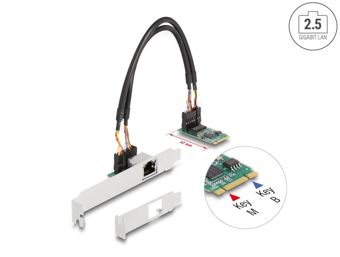 Delock M.2 Key B+M 1 x RJ45 2,5 Gigabit LAN Netzwerkkarte