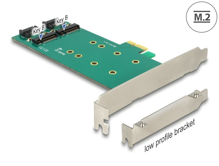Delock PCI Express x1 Karte > 2 x intern M.2 Key B 110 mm - Low Profile Form Faktor